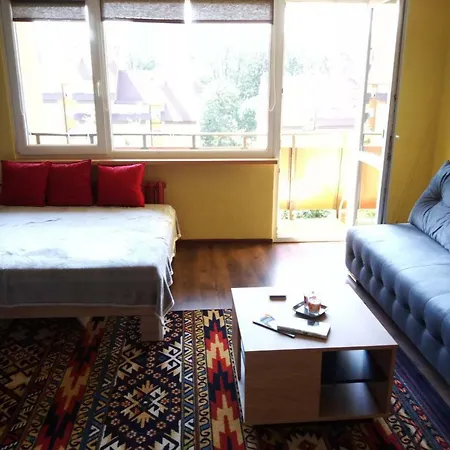 Apartament Czarny Plomien Stronie Śląskie