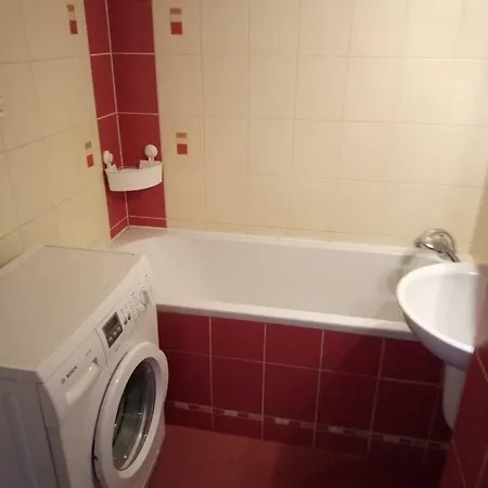 Lägenhet Apartament Czarny Plomien Stronie Śląskie