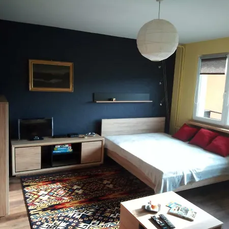 Lägenhet Apartament Czarny Plomien